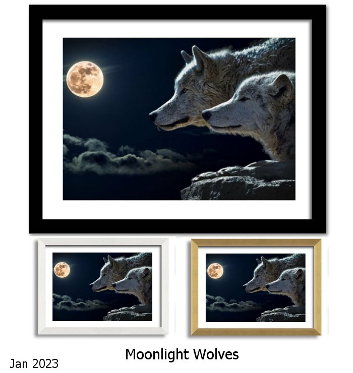 Moonlight Wolves Framed Print